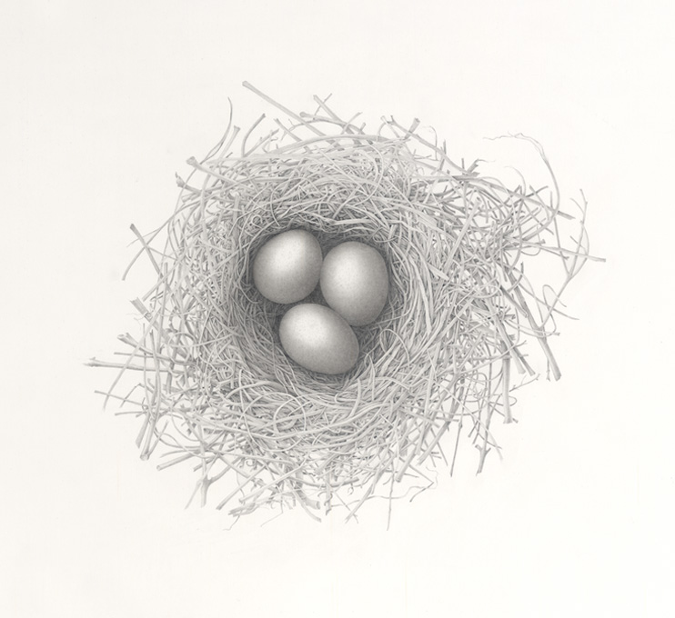 Eggs ina Nest